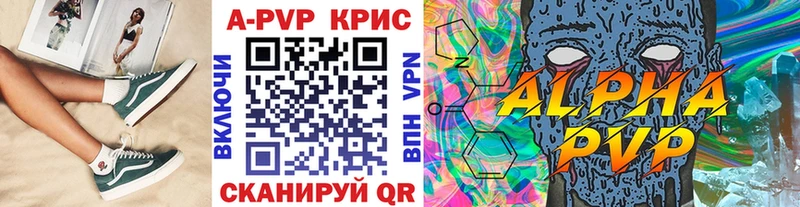 А ПВП СК КРИС  Западная Двина 