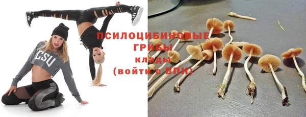 MESCALINE Богородск