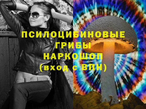 МДМА Бородино