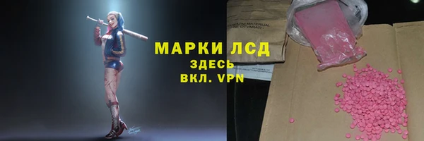 СК Елизово
