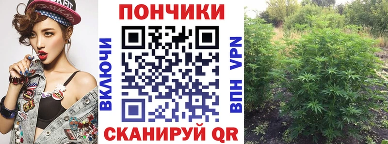 Шишки марихуана гибрид  mega как войти  Западная Двина  продажа наркотиков 